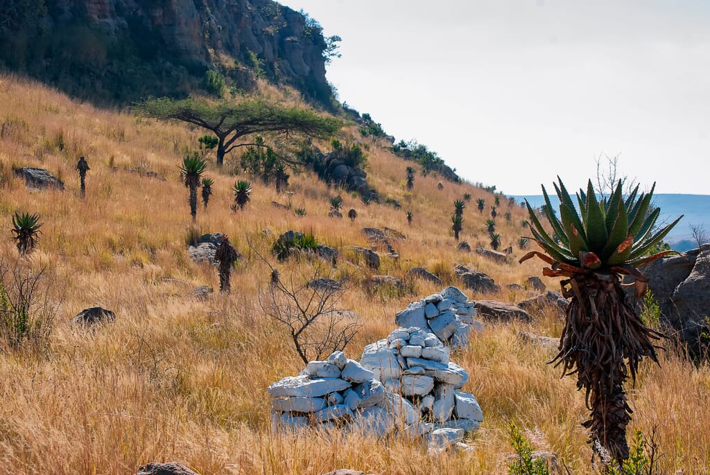 South Africa Battlefields gravestones