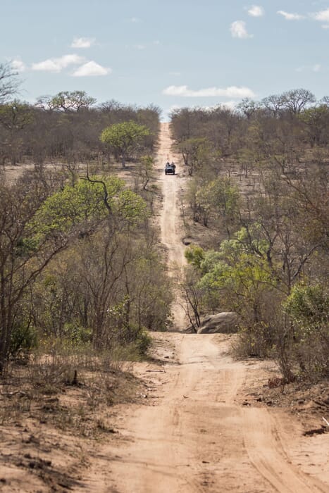 Kruger National Park road game drive South Africa