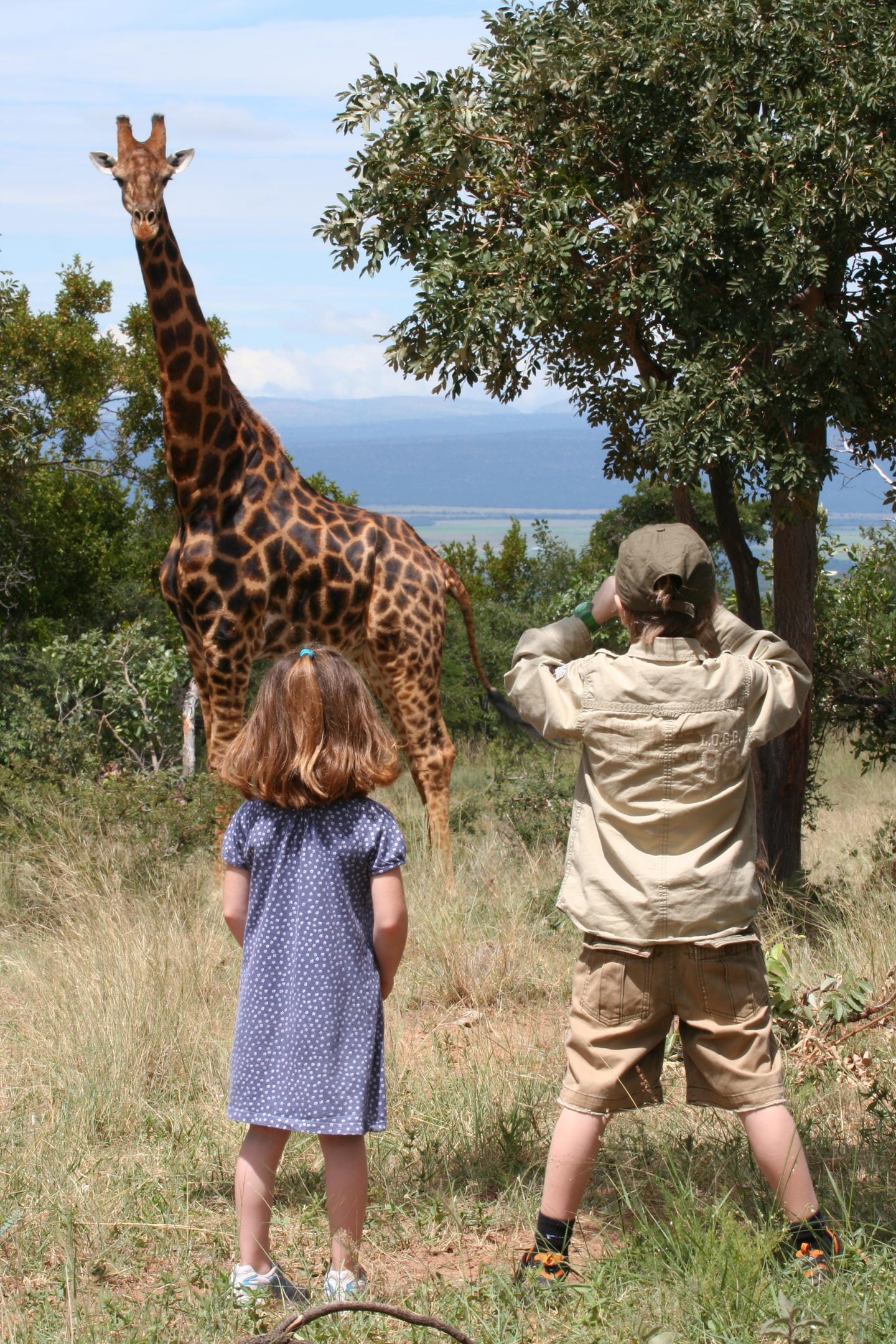 The Ant Collection Waterberg South Africa family safari