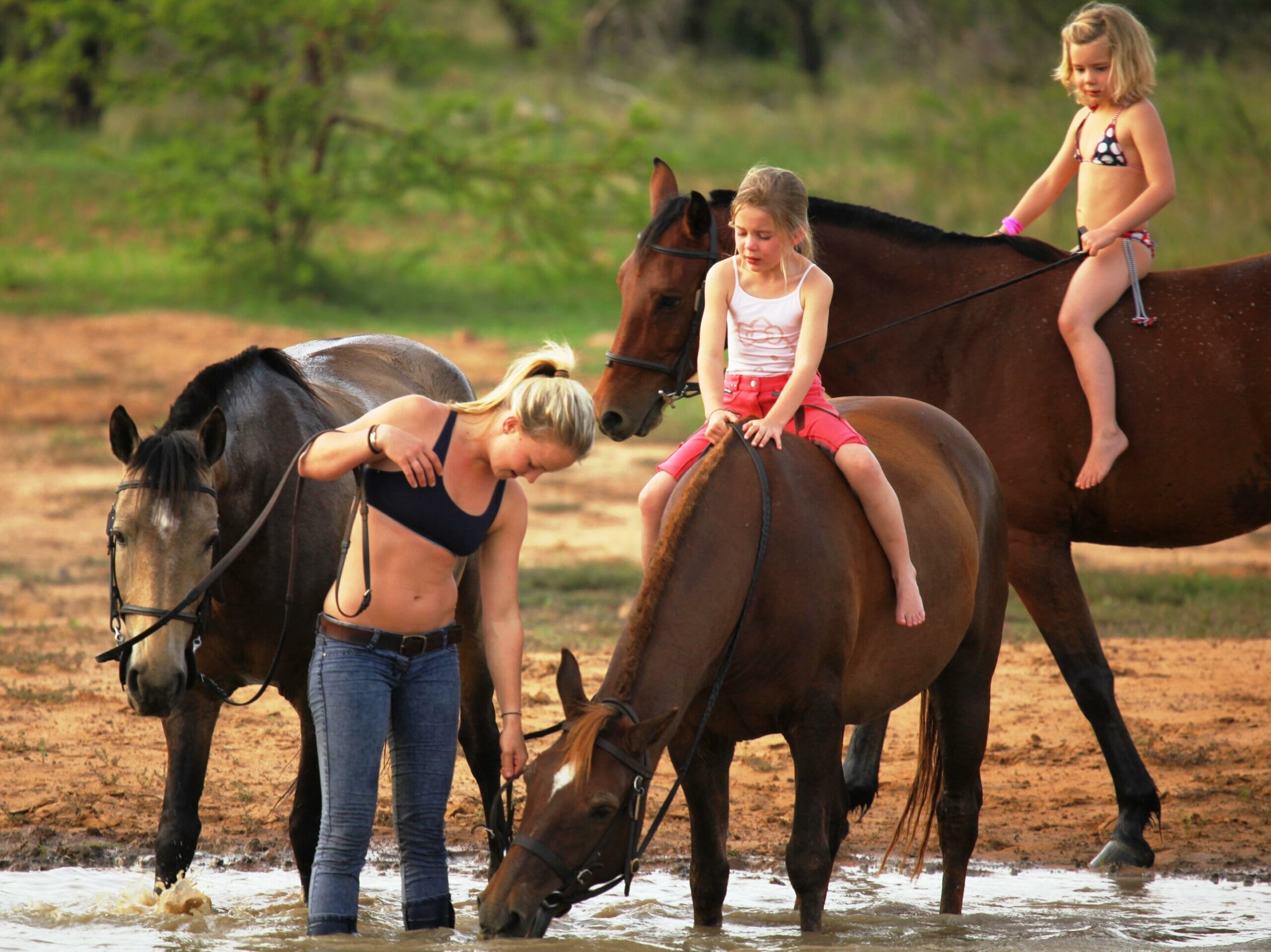 The Ant Collection Waterberg South Africa family safari