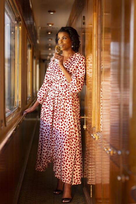 Luxury Train Journeys South Africa Blue Train