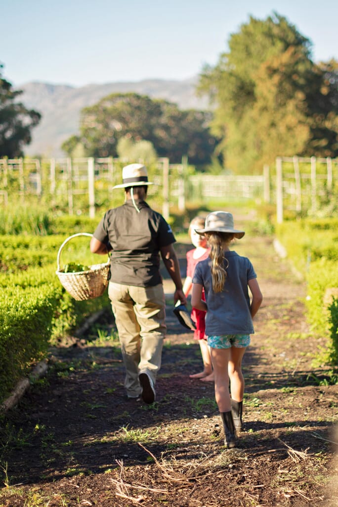 Boschendal Wine Estate