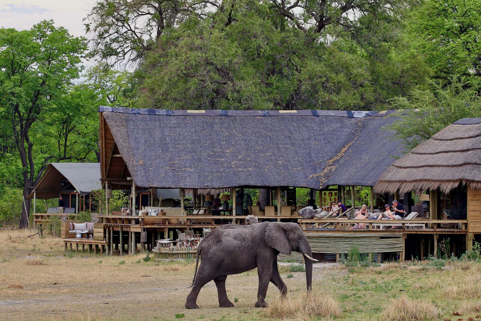 03_sable_alley_-_exterior_view_with_elephant-scaled