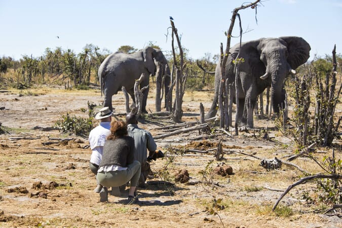 13hyena_pan_-_activities_-_walking_safari-scaled.jpg?w=675&h=450&scale