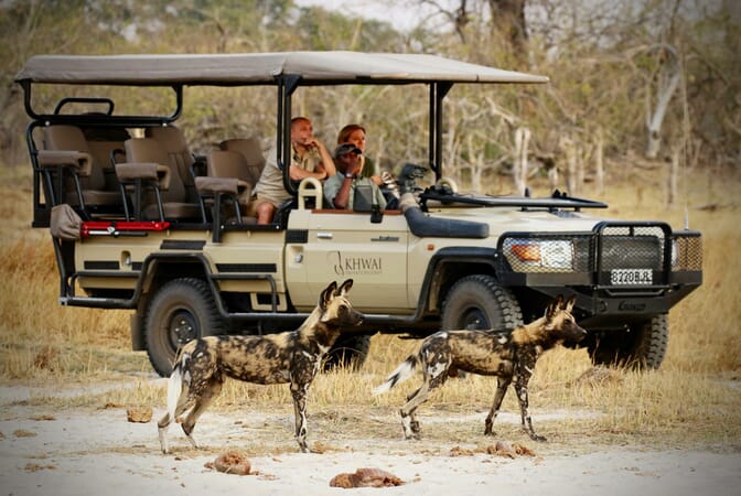 18_kpr_-_wild_dog-scaled.jpeg?w=672&h=450&scale