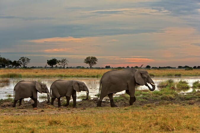 Kwando-Lagoon-Camp_4-scaled.jpg?w=675&h=450&scale
