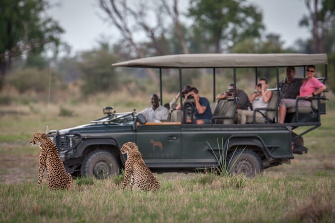 dave_hamman_game_drive_and_cheetahs-scaled.jpg?w=675&h=450&scale