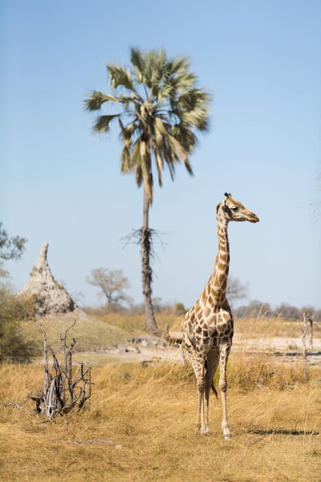 shutterstock_307319168-scaled.jpg?w=467&h=700&scale