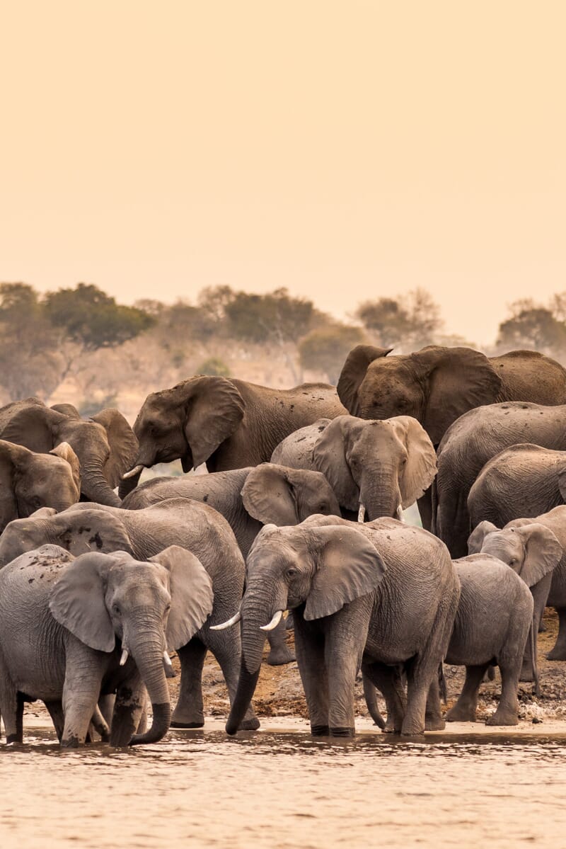 shutterstock_413599210-scaled