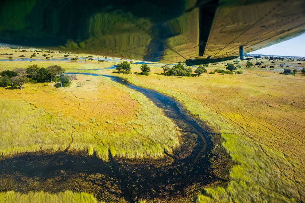 Moremi Game Reserve safari flight