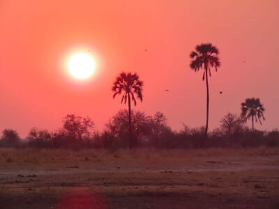 Camp Kuzuma Luxury Family Safari Botswana
