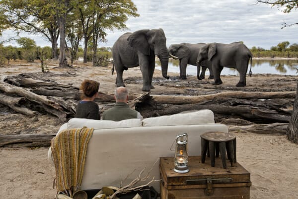 Hyena Pan Luxury Family Safaris Botswana
