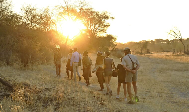 Meno A Kwena Luxury Family Safaris Botswana