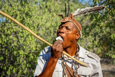 Dinaka Luxury Family Safaris Botswana
