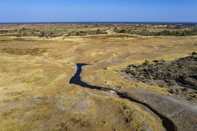 Gomoti Plains Camp Luxury Family Safaris Botswana