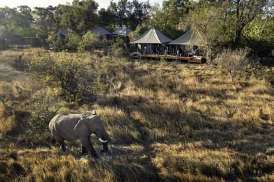 Khwai Lediba Luxury Family Safaris Botswana