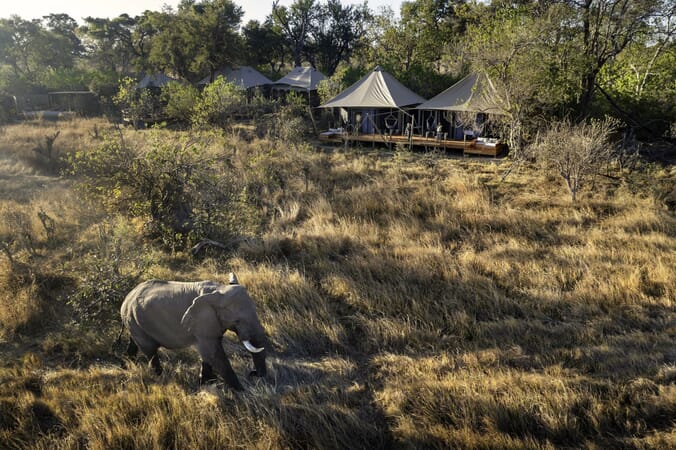 Khwai Lediba Luxury Family Safaris Botswana