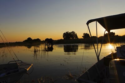 Camp Okavango Luxury Family Safaris Botswana