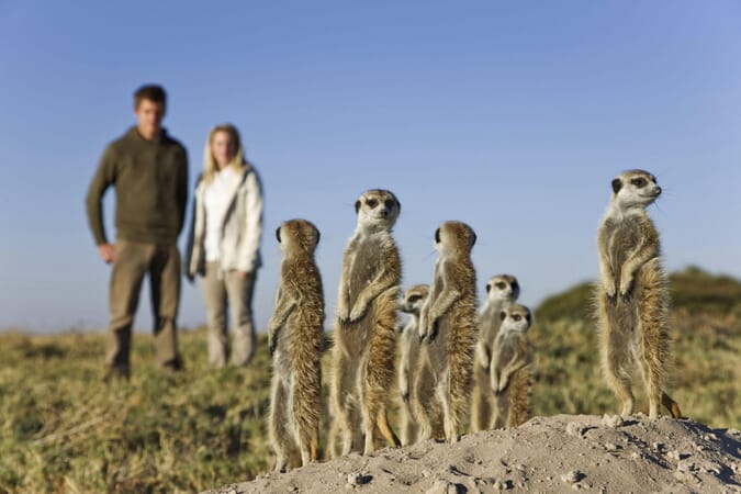 Jack's Camp Luxury Family Safaris Botswana