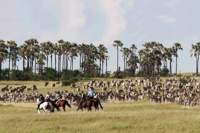 Camp Kalahari Luxury Family Safaris Botswana