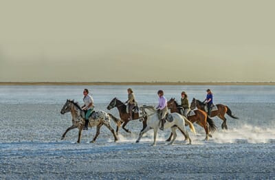 Jack's Camp Luxury Family Safaris Botswana