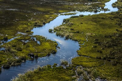 Duba Explorers Camp Luxury Family Safaris Botswana