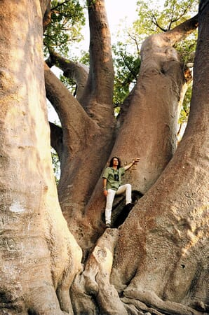 Camp Kalahari Luxury Family Safaris Botswana