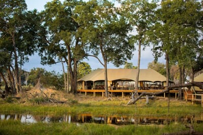 Duba Explorers Camp Luxury Family Safaris Botswana