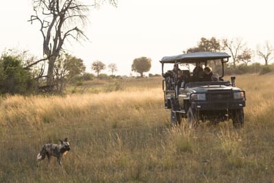 Duba Explorers Camp Luxury Family Safaris Botswana