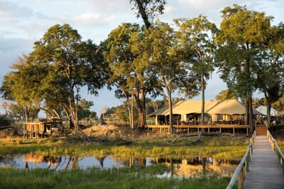 Duba Explorers Camp Luxury Family Safaris Botswana