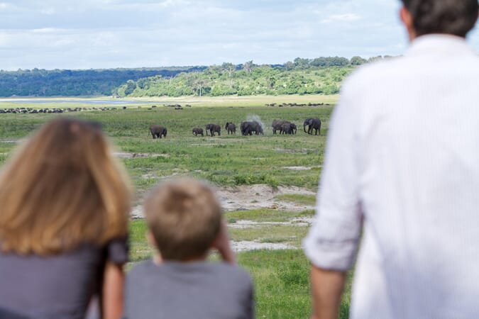 Chobe Game Lodge Botswana Luxury Family Safaris