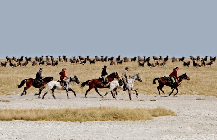 Camp Kalahari Luxury Family Safaris Botswana