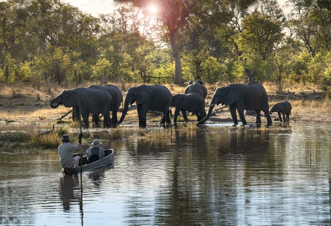 Khwai Lediba Luxury Family Safaris Botswana