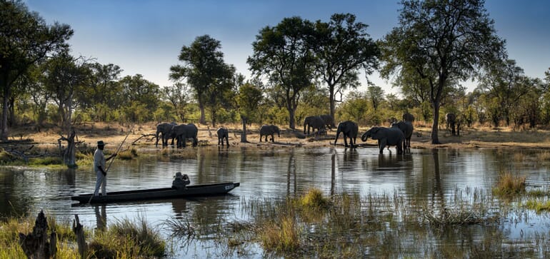 Khwai Lediba Luxury Family Safaris Botswana