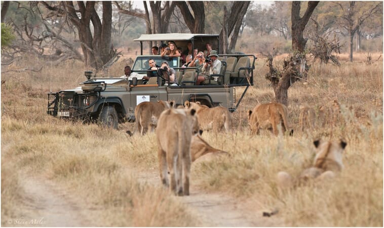 Machaba Camp Luxury Family Safaris Botswana