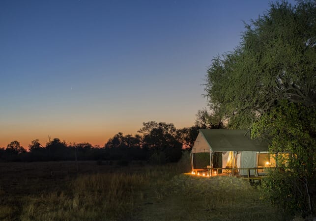 Machaba Camp Luxury Family Safaris Botswana