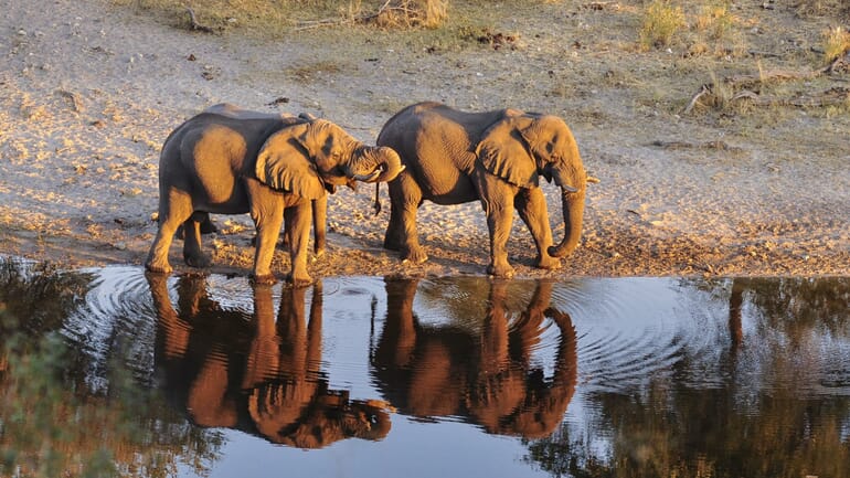 Meno A Kwena Luxury Family Safaris Botswana
