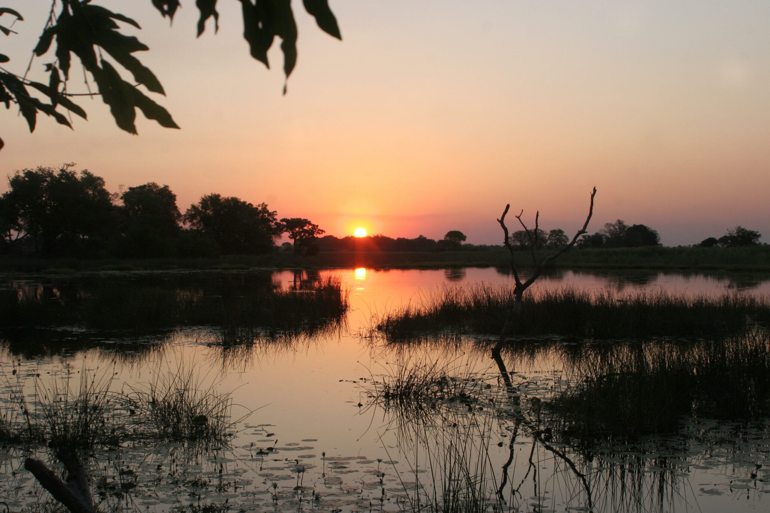 PomPom-lagoon-at-sunrise-scaled