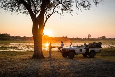 Chief's Camp Luxury Family Safari Botswana