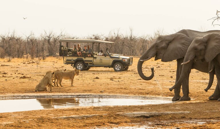 Savute Safari Lodge Luxury Family Safaris Botswana