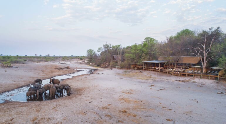 Savute Safari Lodge Luxury Family Safaris Botswana