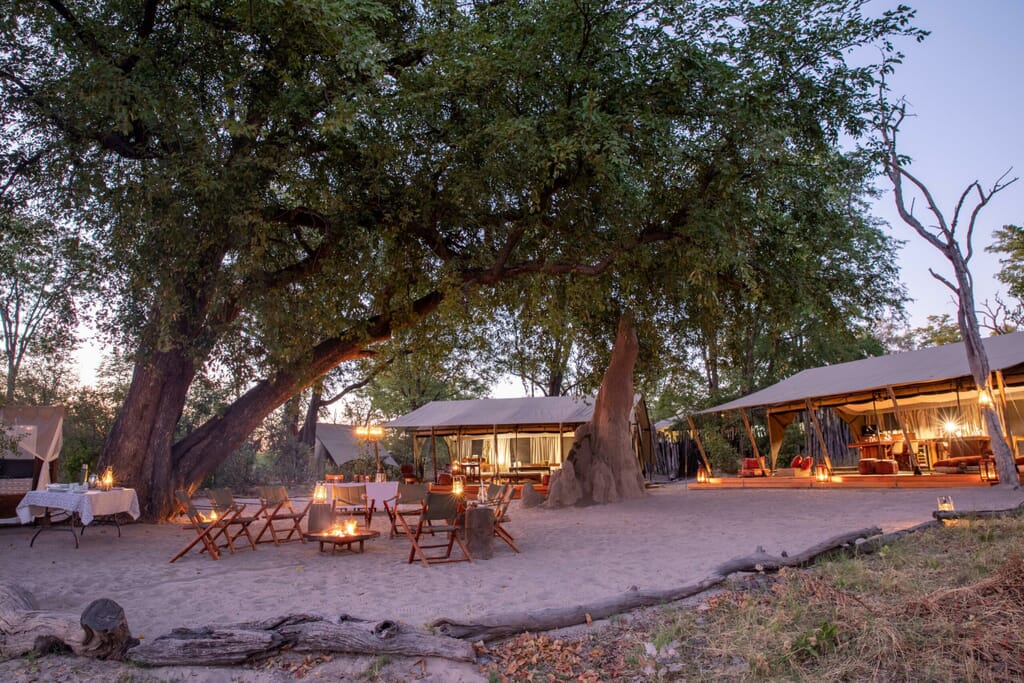 Selinda-Explorers-Camp-Main-Area_2-scaled.jpg?w=1024&h=683&scale