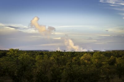 Elephant Camp Luxury Family Safaris Zimbabwe