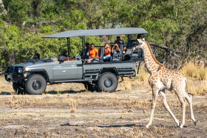 Seba Camp Botswana Luxury Family Safaris