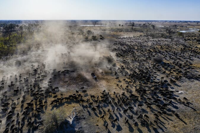 Gomoti Plains Camp Luxury Family Safaris Botswana