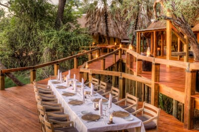 Camp Okavango Luxury Family Safaris Botswana