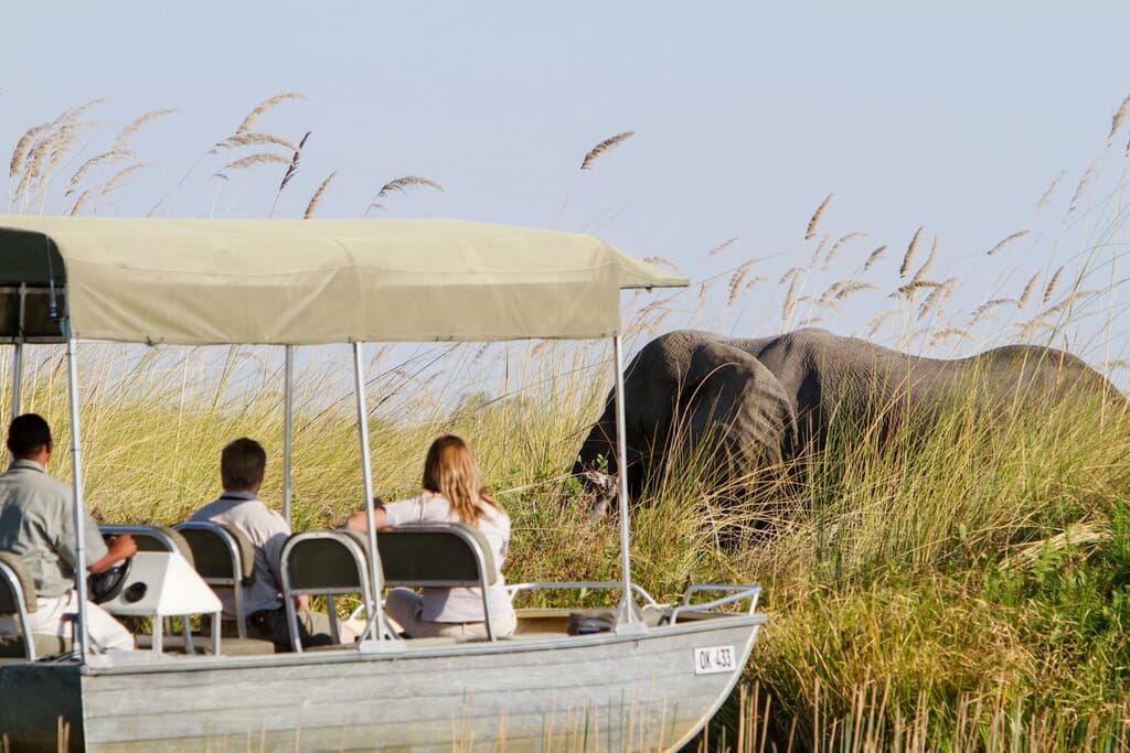 Camp Xakanaxa Luxury Family Safaris Botswana