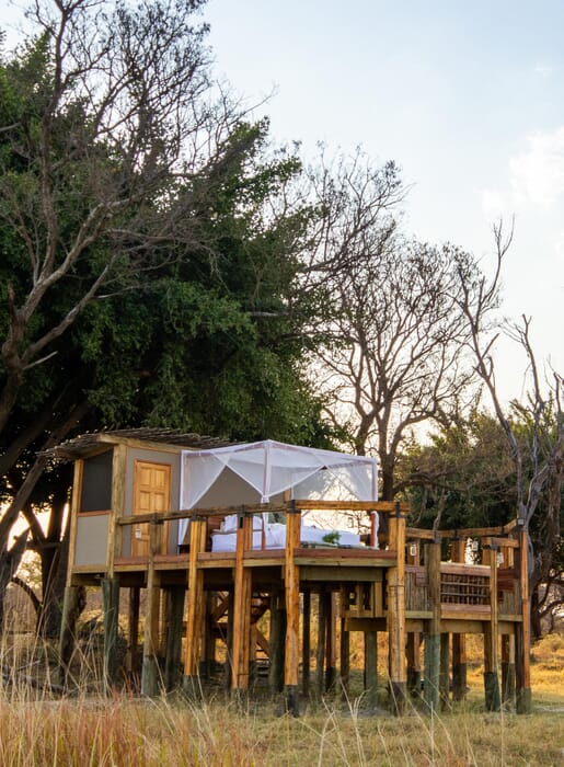 Camp Okavango Luxury Family Safari Botswana