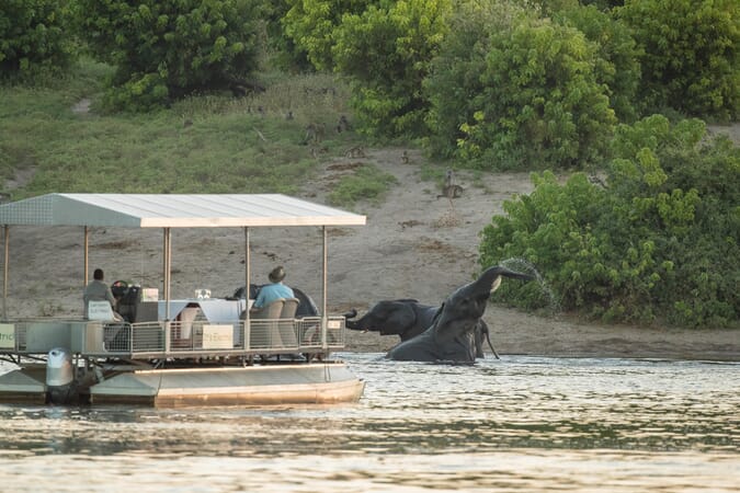 Chobe Game Lodge Botswana Luxury Family Safaris