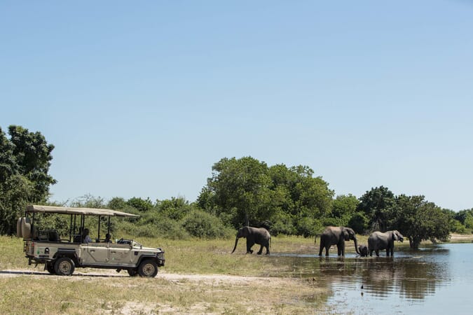 Chobe Game Lodge Botswana Luxury Family Safaris